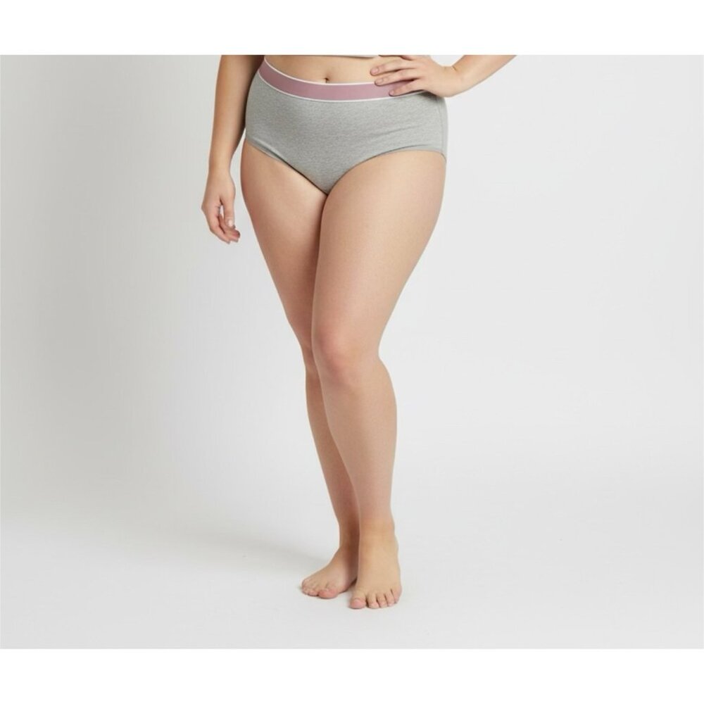 Lane Bryant Cacique Cotton High Leg Brief Panty With Wide Waistband 26/28